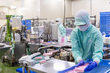 Yuzuki’s kamaboko factory