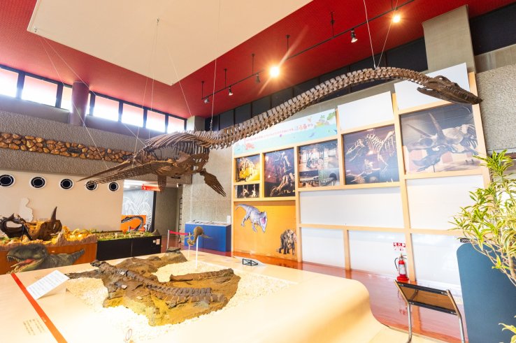 Futabasaurus fossil