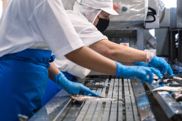 Manual inspections on the production line