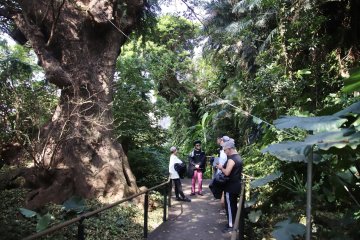 Hidden Gem: Natural site of Okinawa