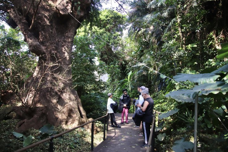 Hidden Gem: Natural site of Okinawa