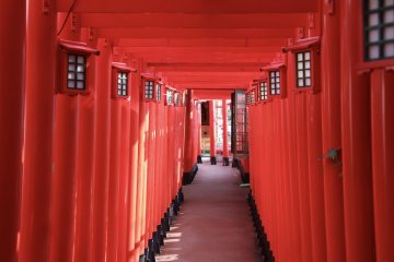 Okinawa Tour Snapshot