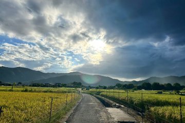 Kyoto Tour Snapshot