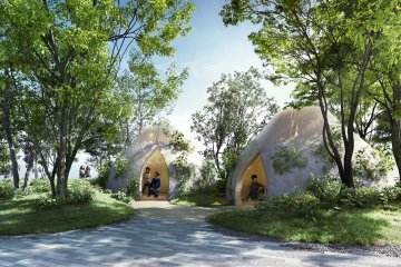 "Forest Architecture" Taking Shape at Expo 2025 Osaka