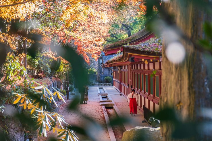 Dazaifu Tenmangu is also incredible during autumn