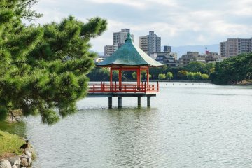 Ohori Park with its signature pond view