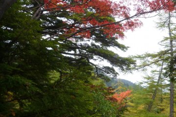 <p>Warna musim gugur</p>
