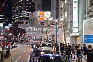 Shibuya Crossing Stop