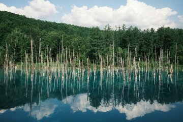 Shirogane Blue Pond