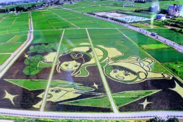 A glimpse at rice paddy art in Gyoda