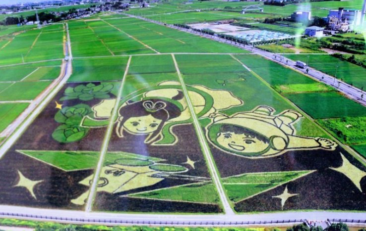 A glimpse at rice paddy art in Gyoda