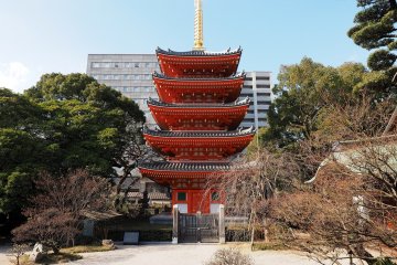 Tocho-ji holds the title of the oldest Shingon temple on the island of Kyushu