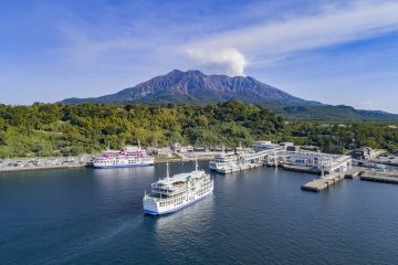 Discover Japan's Allure With a Tokyo Cruise