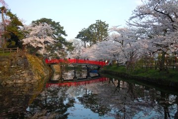 7 Sakura Spots Outside Tokyo, Osaka, and Kyoto