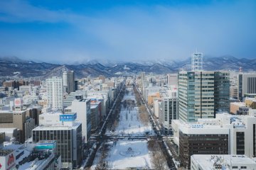 Winter view