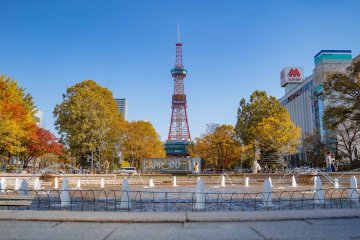 Autumn in Odori Park