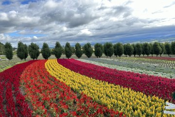 Hokkaido Named a Destination to Watch in 2025