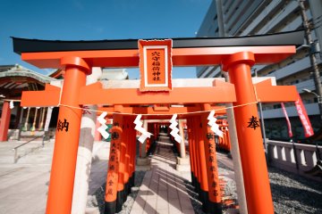 The stunning torii gates of Anamori Inari Shrine