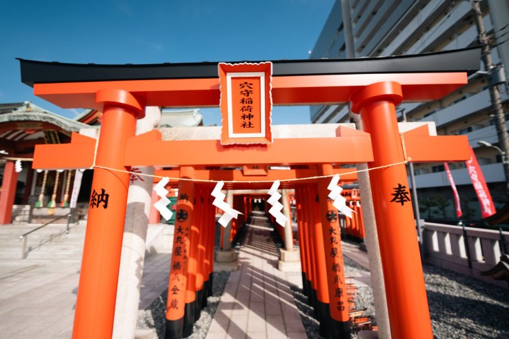 The stunning torii gates of Anamori Inari Shrine