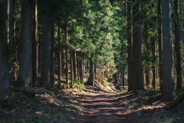 Hiking Mount Anbou