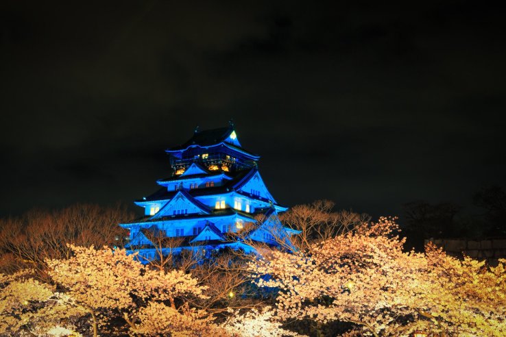 Blossoms after dark at Osaka Castle