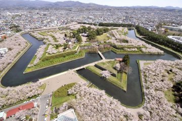 The beautiful Goryokaku Fort in Hakodate, Hokkaido, is one example of a spot you can enjoy cherry blossoms around late April to May.