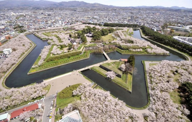 The beautiful Goryokaku Fort in Hakodate, Hokkaido, is one example of a spot you can enjoy cherry blossoms around late April to May.
