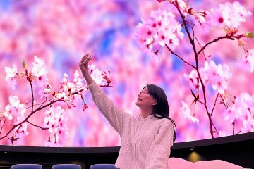 Sakura Welcome Dome 2026