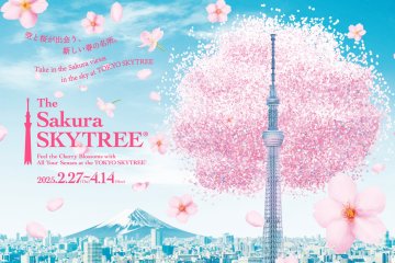 The Sakura Skytree 2025