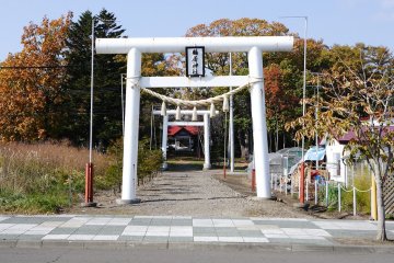 北海道/道東/阿寒郡/鶴居村~伊藤丹頂鶴保護區