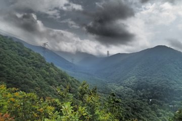 <p>Melihat ke atas ke arah puncak</p>
