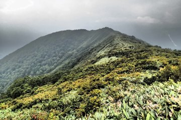 <p>Di atas pegunungan</p>
