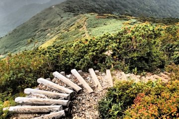 <p>Jalur berkelok jalannya sampai ke puncak</p>
