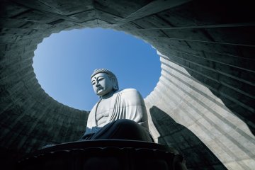 Tadao Ando: Youth 2025