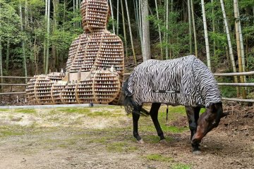 Toshunji's rustic side