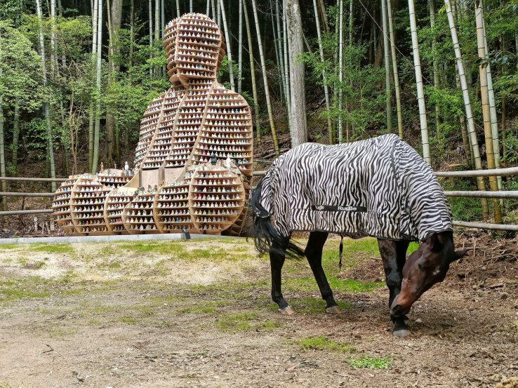 Toshunji's rustic side