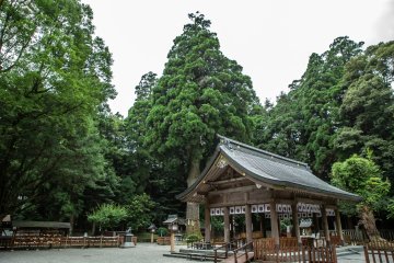 Takaharu: Where Legends, Culture, and Nature Coexist