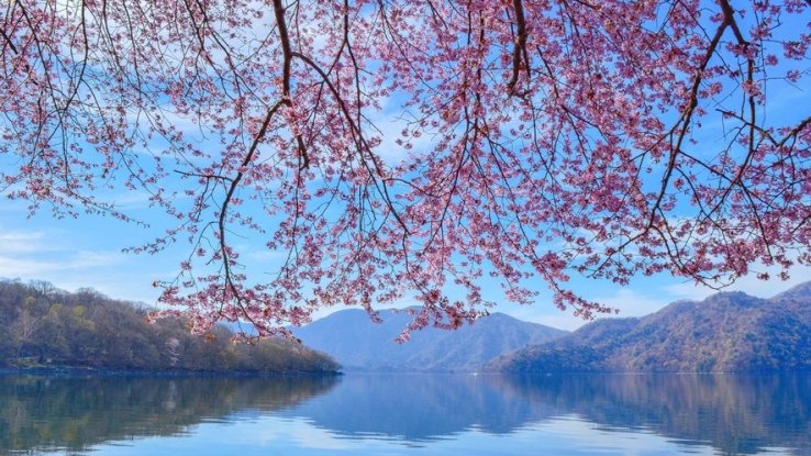 View from Lake Chūzenji 
