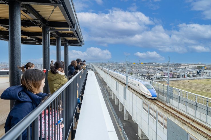 Rooftop Observation Deck