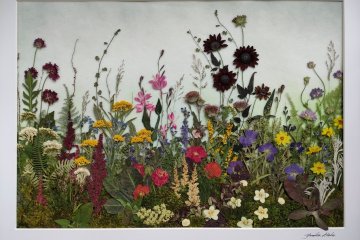 Pressed Flowers in Everyday Life 2025