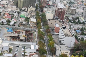 View of the tree lined streets of Maebashi