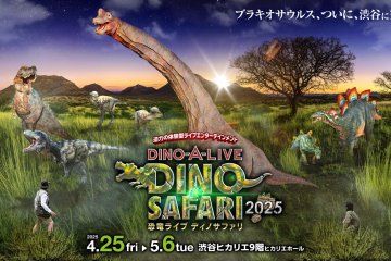 Dino Safari 2025