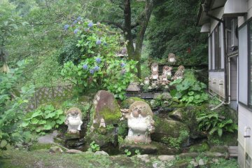 Tanuki Yu