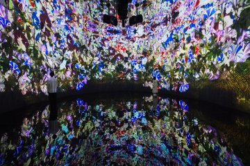 Permanent TeamLab Exhibit Comes to Hokkaido