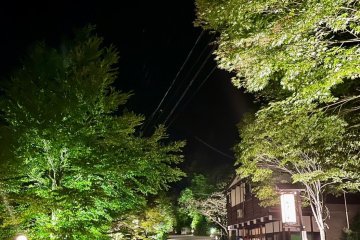Spring Green Light Up at Fukuchi Onsen 2025