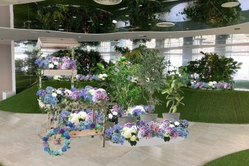 Tenbo Park Rainy Season 2025