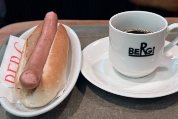 The special is their hot dog which is best eaten plain