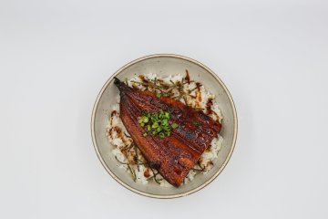 Japanese Eels: Your Guide to Unagi & Anago