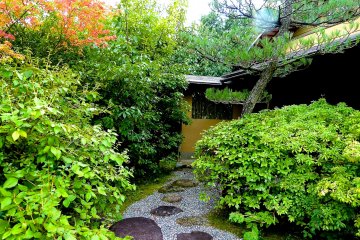 Stepping stones leading to a teahouse