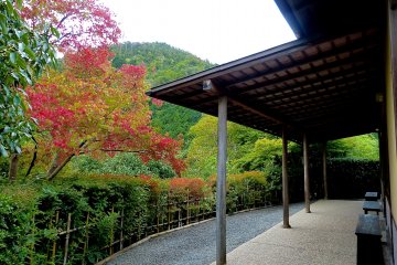The inner most garden of Koetsu-ji Temple